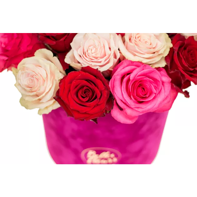 Květinový box růží